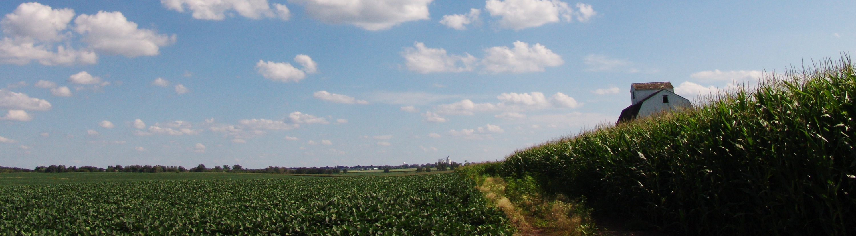 photo of farm field