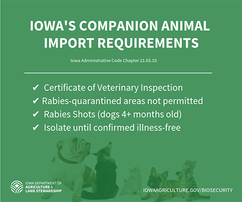 Iowa's companion animal import requirements