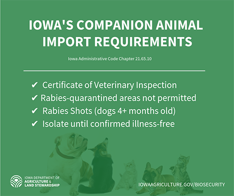 Iowa's Companion Animal Import Requirements | Iowa Department of ...