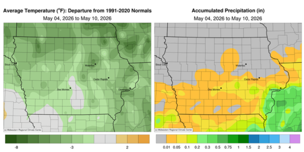 A map of Iowa showing cooler temperatures than normal, with the coldest conditions occurring in northern Iowa for the week of May 4-10, 2026. A map of Iowa showing unseasonably dry conditions, with only the southeastern corner of the state recording near-normal precipitation for the week of May 4-10, 2026.