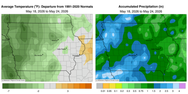A map of Iowa shows the average temperatures (in degrees Fahrenheit) across the state during the week of May18-24. Temperatures range from approximately 1 degree above to 7 degrees below the1991-2020 normal temperatures. A map of Iowa shows accumulated precipitation (in inches) across the state during the week of May 18-24. Precipitation ranged from approximately 0.2 to 4 inches.
