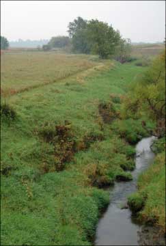 Photo of stream bank