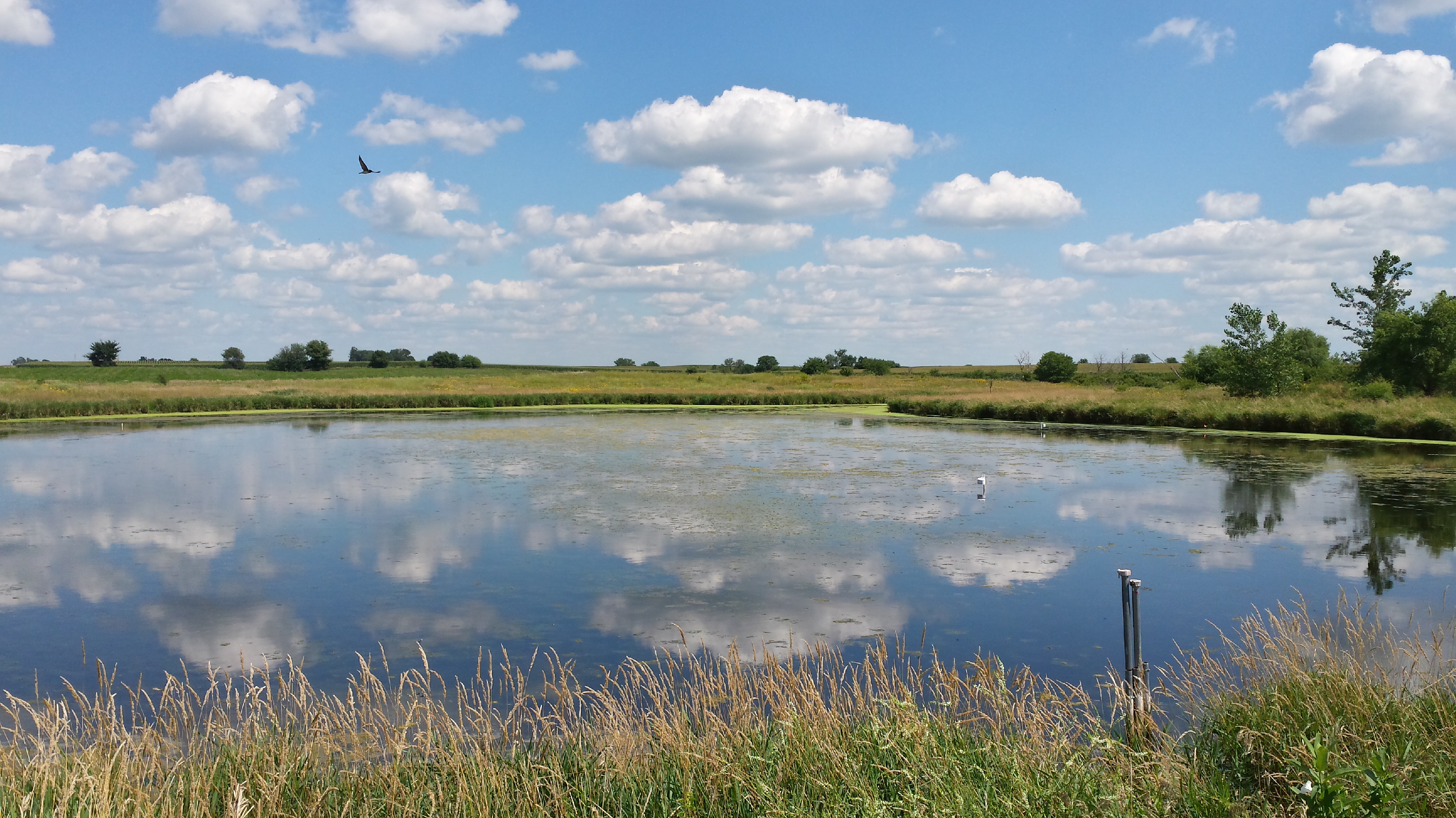 What We Do | Iowa Department of Agriculture and Land Stewardship
