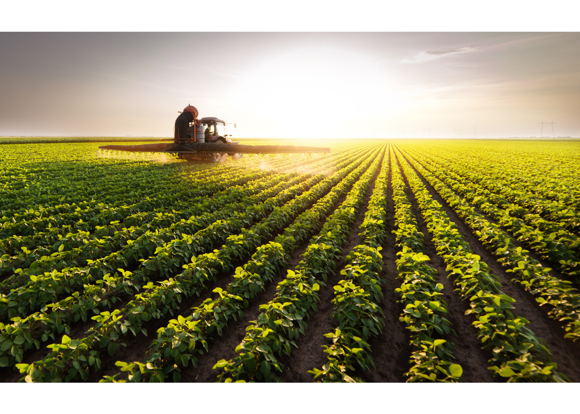 pesticide applicator soybean field