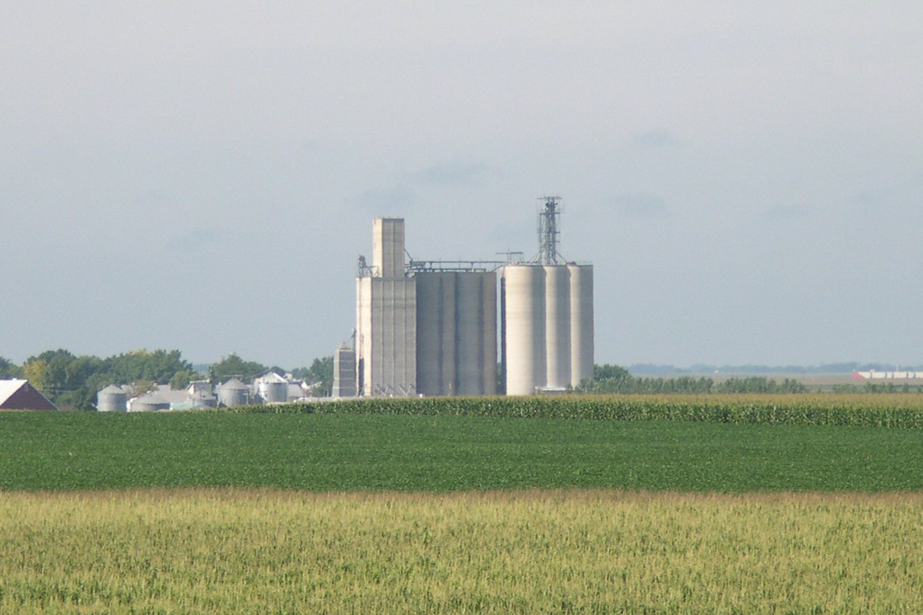 grain